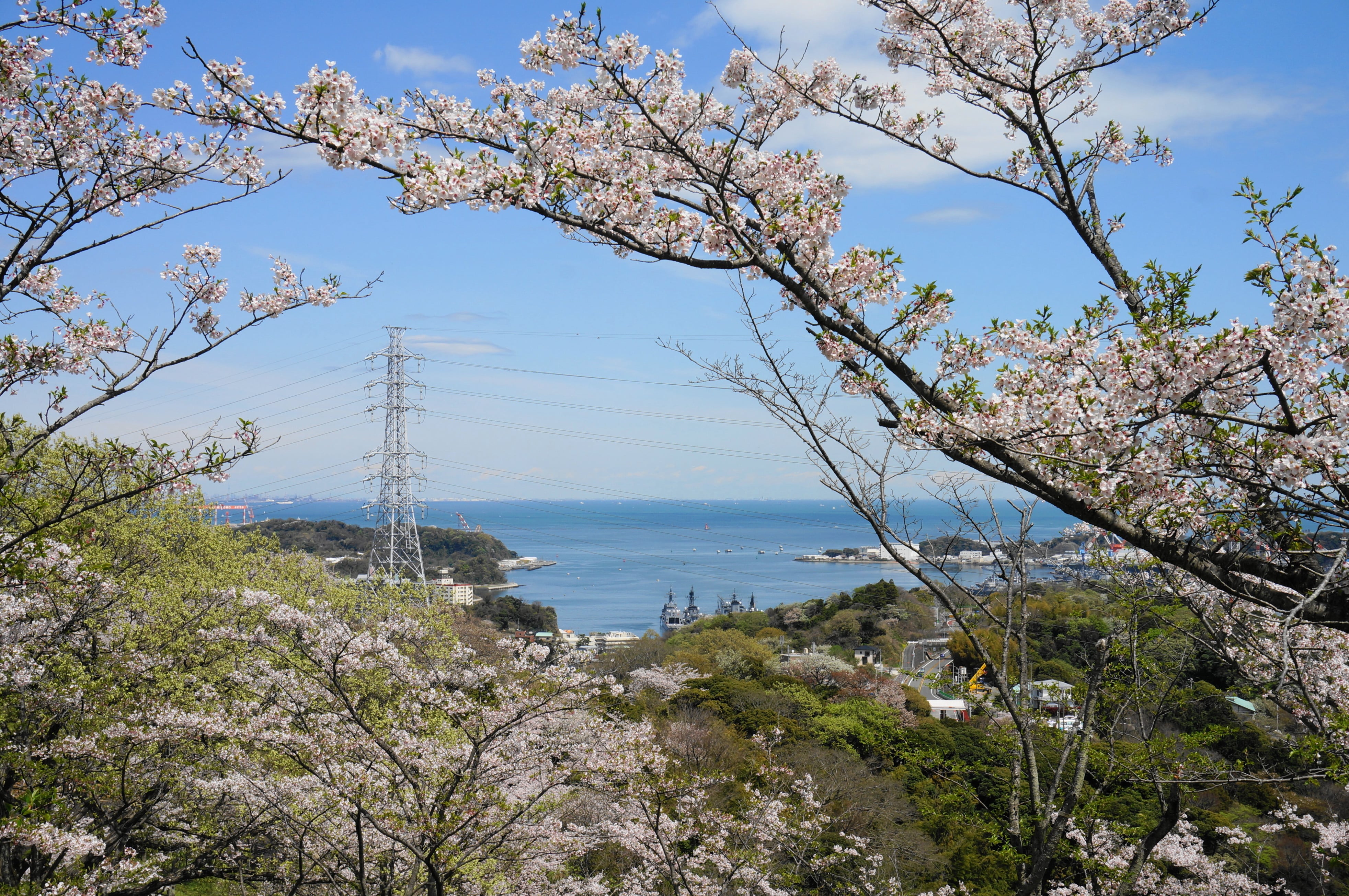 Tsukayama Park