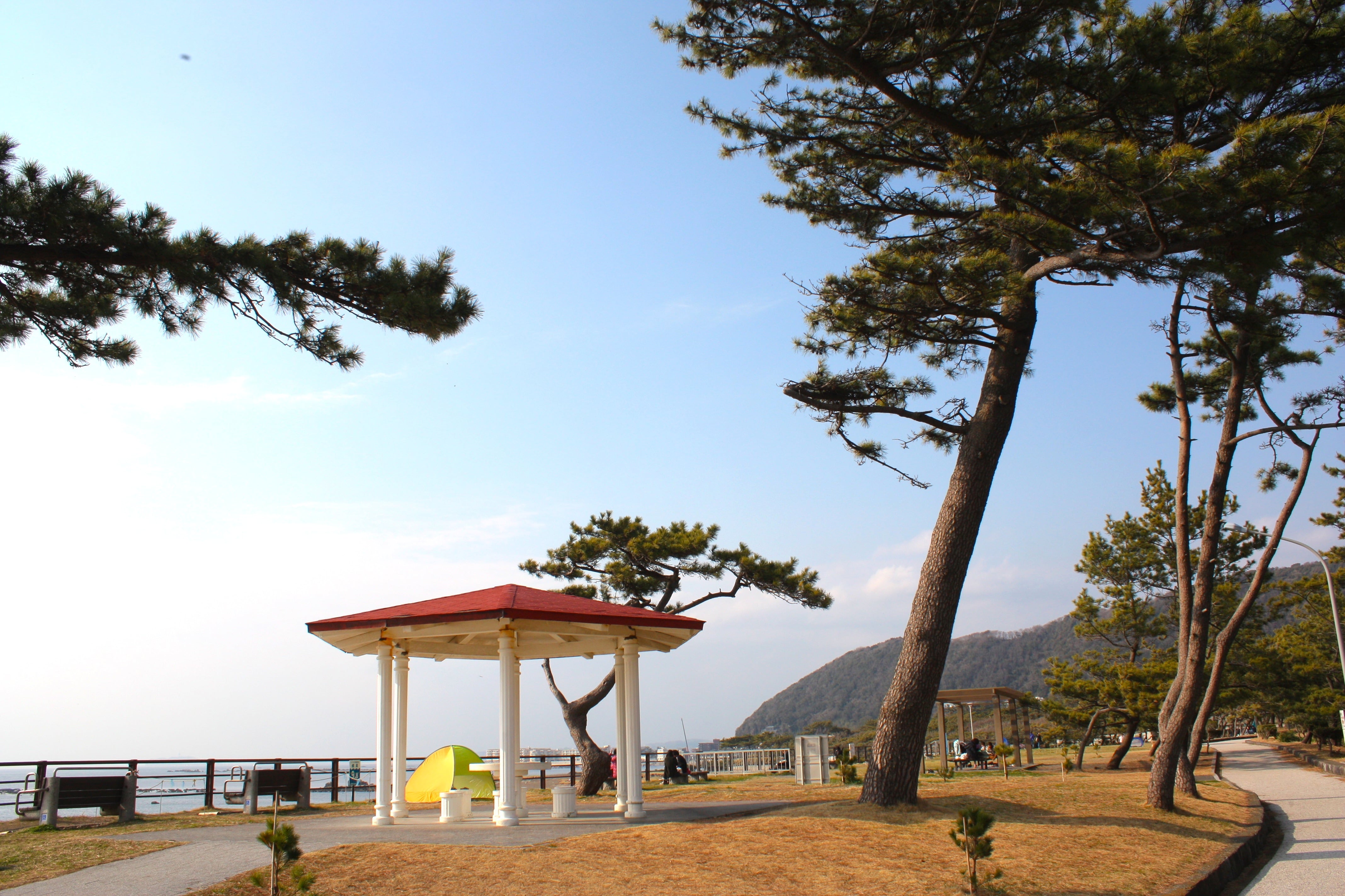 神奈川県立葉山公園 観光 エリア情報 かながわシープロジェクト Feel Shonan