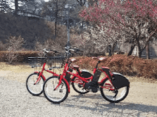 Cycle Port Shin Matsuda station