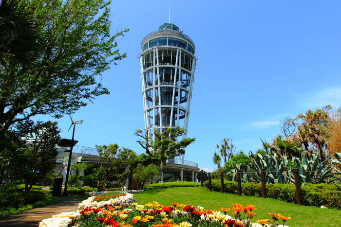 【藤沢市】Colors-Fest! enoshima 2019～コッキング・ガーデン the flower～