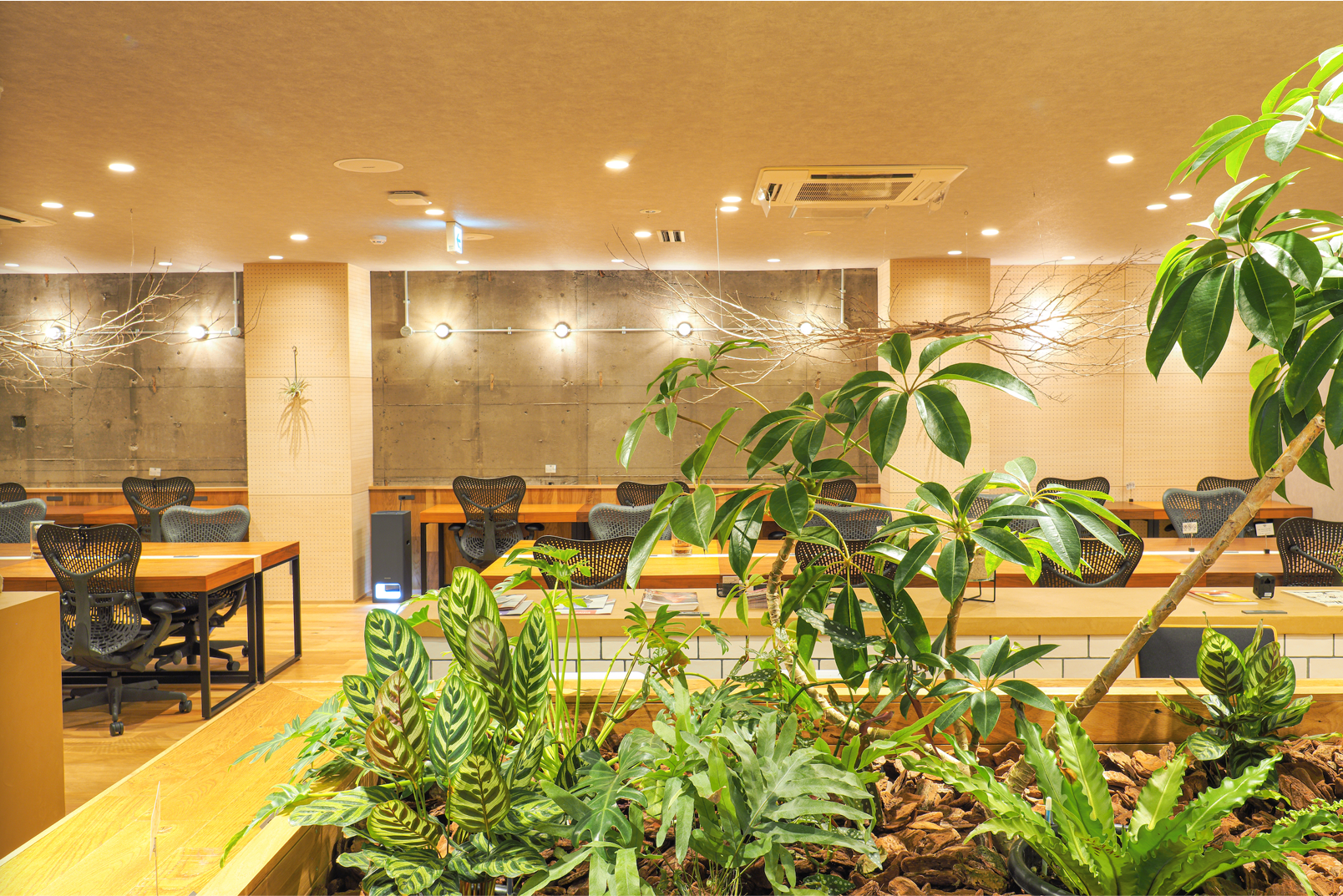 the KAIDAN fujisawa