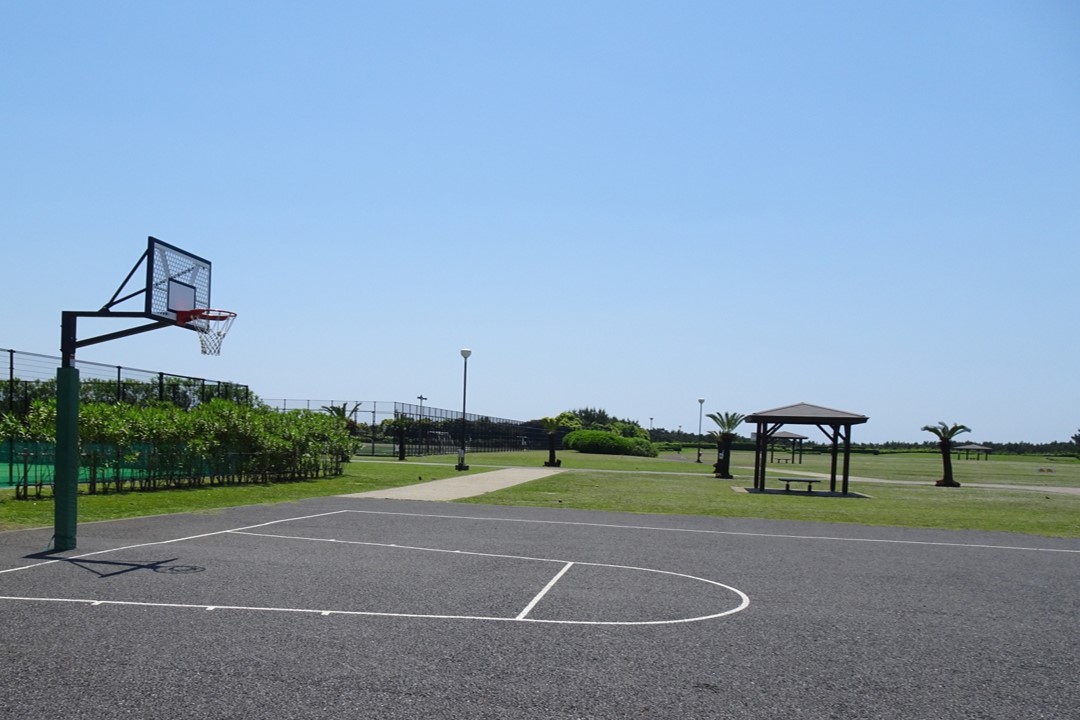 柳岛潮骚公园