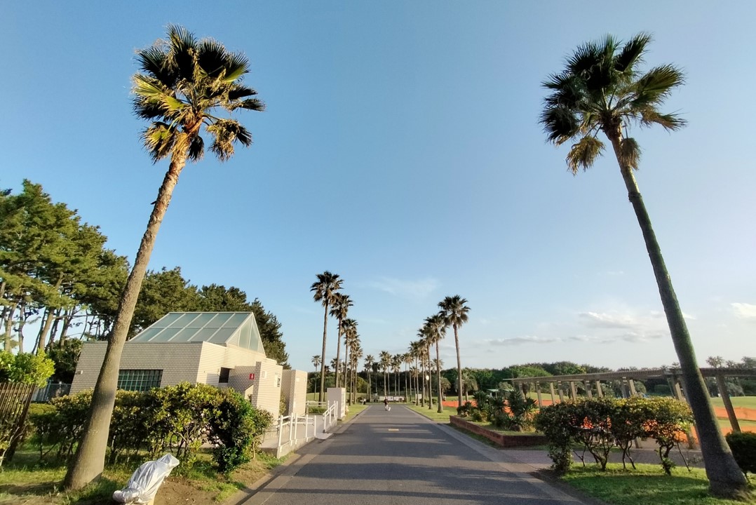 辻堂海浜公園