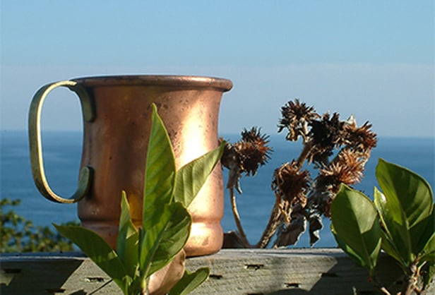 看着左边的海,迈入森林深处...