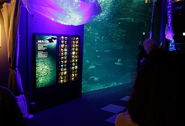 新江之島水族館