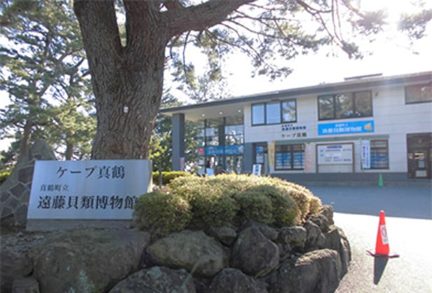 真鶴之海飽受眷顧的秘密，就在森林裡！